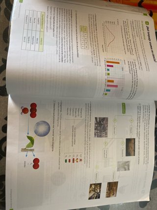 Biología y Geología : 1o ESO : Revuela