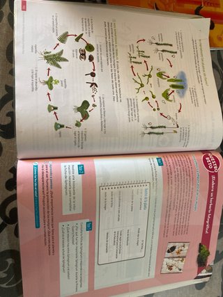 Biología y Geología : 1o ESO : Revuela