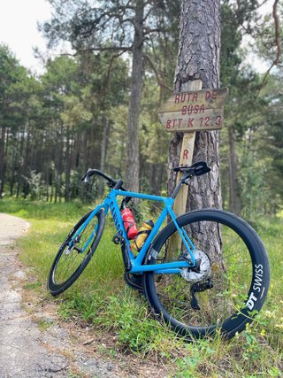 Canyon Ultimate CF SL 8 Aero Di2