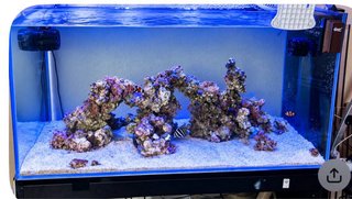 Acuario Marino completo  230L