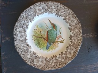 Coppia Piatti Vintage Enoch Wedgwood