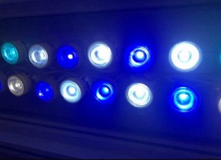 Pantalla LED Acuario Marino + Controlador