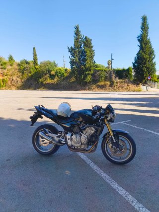Honda Hornet 600 Naked Negra