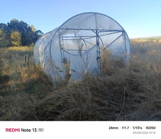 Invernadero 3 arcos 4x4 m