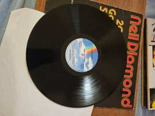 Vinilo Neil Diamond - 20 Golden Songs