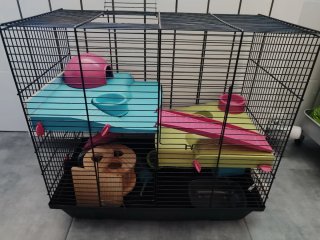 Jaula Hámster Verdecora + Accesorios