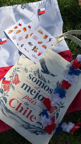 Bolso Tote Chile Diseño Cóndor Flores