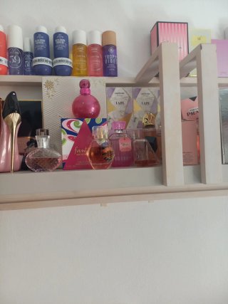 Lote de Perfumes y Colonias Variadas