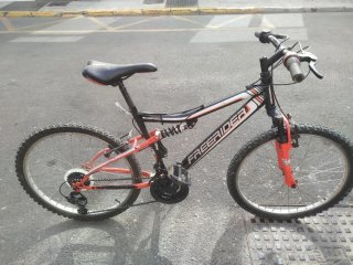 Bicicleta Montaña 24 Freerider
