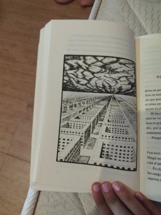 Momo o l'estranya història dels lladres de temp...