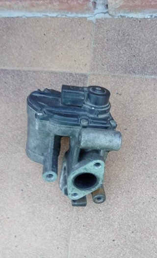 Válvula EGR Renault Mascott