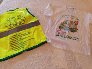 Lote Ropa Escuela Infantil Dalila talla 2