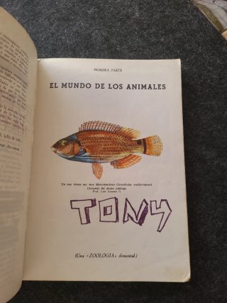 Libro Antiguo Ciencias Naturales 1º Bachillerato A
