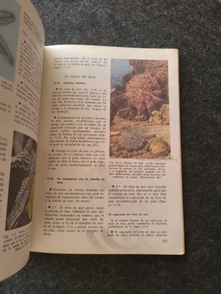 Libro Antiguo Ciencias Naturales 1º Bachillerato A