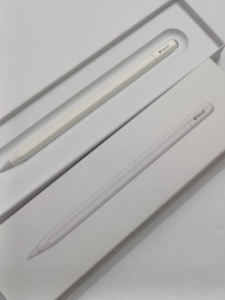 Apple Pencil 2ª Gen USB-C