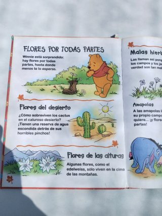 Cuentos Winnie The pooh