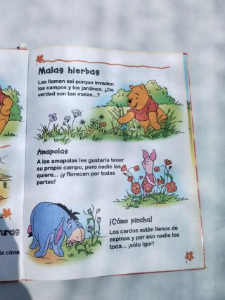 Cuentos Winnie The pooh