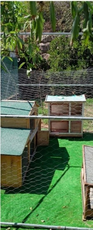 Gallinero exterior 2x3m + 3 casetas madera.