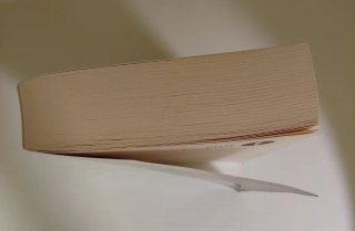 Le Sfide di Apollo La Torre di Nerone Rick Riordan