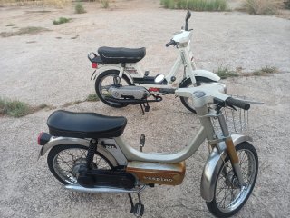 Vespino NL Blanca