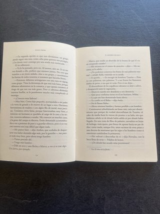 El misterio del arca 978846983002 Espido Freire
