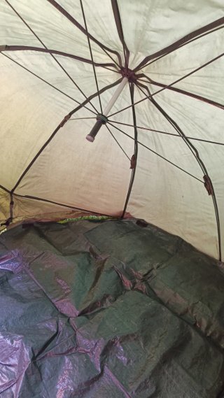 Brolly carpfishing Milo