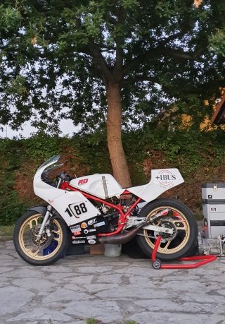 YAMAHA RD 350 Carreras Clásicas
