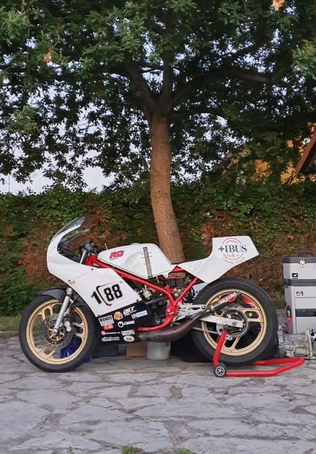 YAMAHA RD 350 Carreras Clásicas