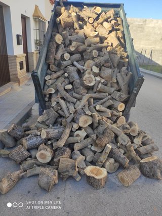 Leña de olivo para chimenea