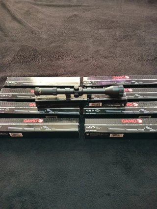 Lote 10 Visores Gamo 4x28 TV
