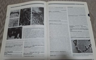Diccionario de Medicina Mosbi. Editoral OCÉANO