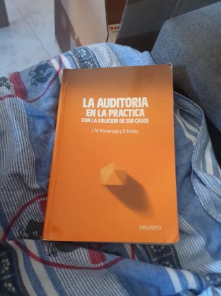 La Auditoria En la Practica Con La Solucion De 200