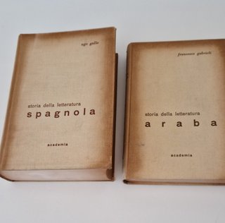 Libri rari e introvabili