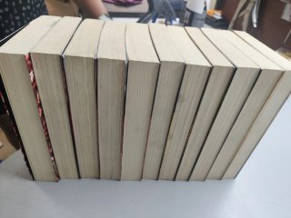 Novelas policiacas