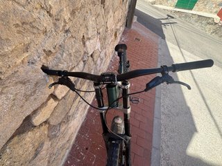 Bergamont Straitline 9 Descenso