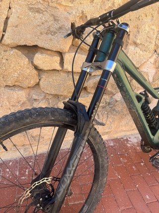 Bergamont Straitline 9 Descenso