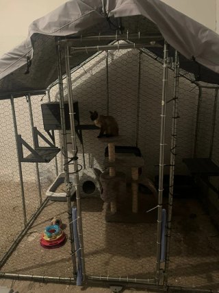 Parque para mascotas/gallinero