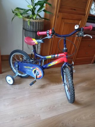 Bicicleta infantil 16 con ruedines