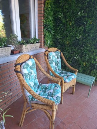 Pareja sillas de mimbre con cojín