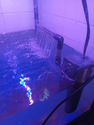 Acuario BOYU con luces LED