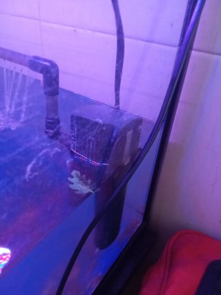 Acuario BOYU con luces LED
