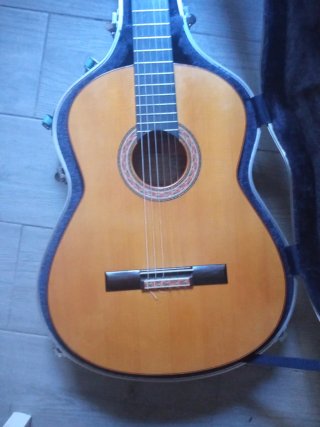 Guitarra Flamenca Javier Castaño 2019.