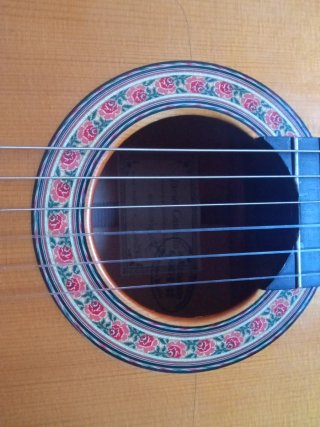 Guitarra Flamenca Javier Castaño 2019.