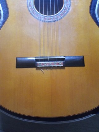 Guitarra Flamenca Javier Castaño 2019.