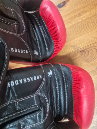 Guantes Boxeo Leone 1947 Ambassador Rojos
