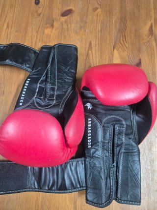 Guantes Boxeo Leone 1947 Ambassador Rojos