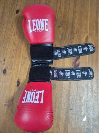 Guantes Boxeo Leone 1947 Ambassador Rojos