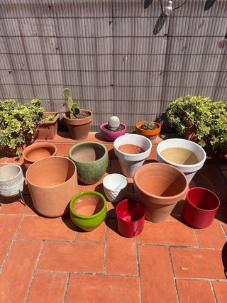 Lote 11 Macetas Terracota y Cerámica