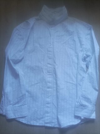 Camisas Ralph Lauren y Lefties Azul/Blanco