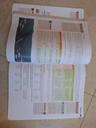 Lengua castellana y literatura, 1 BACH.
